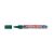 Edding 250 Whiteboard Marker Green (4-250004) (EDD4-250004)