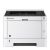 KYOCERA ECOSYS P2040dn laser printer (KYOP2040DN)