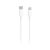 Xiaomi Regular USB 2.0 Cable USB-C male - Lightning Λευκό 1m (BHR4421GL) (XIABHR4421GL)